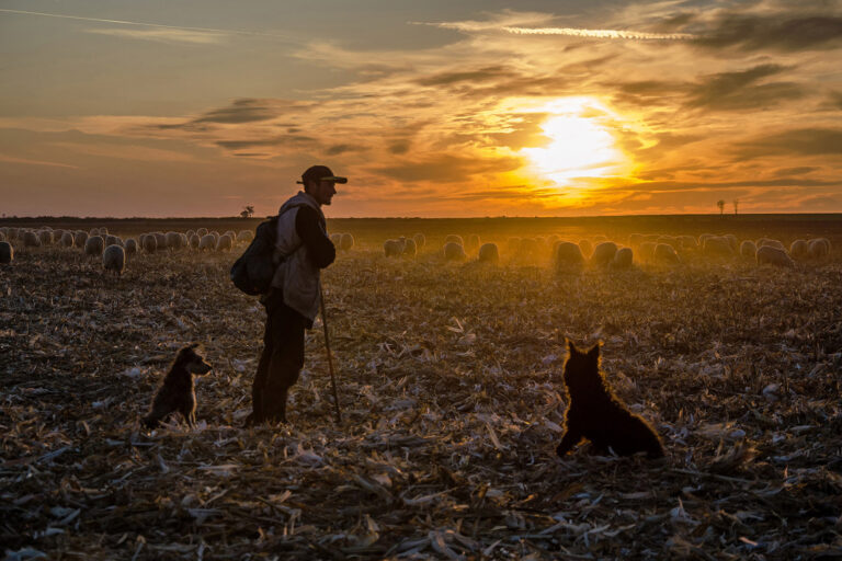 03_Bikfalvi_Zsolt Landscape_In_Szatmar